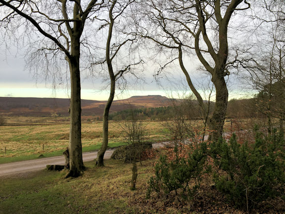 view